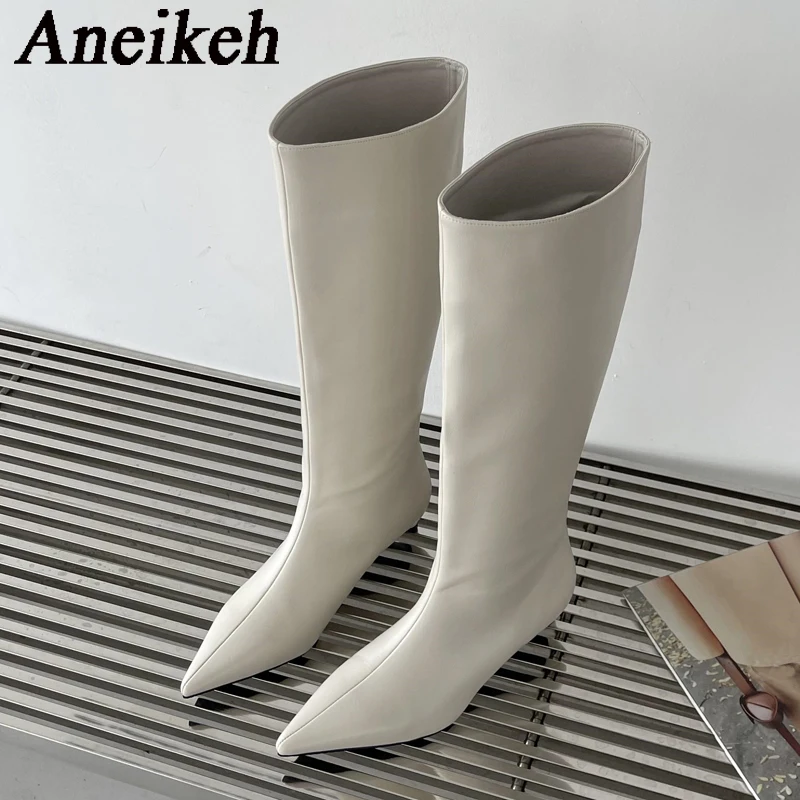 Aneikeh 2026 mode Sexy pointu  - Knee High Boots Women avis et prix